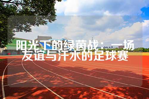 阳光下的绿茵战：一场友谊与汗水的足球赛