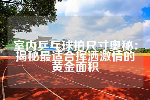 室内乒乓球拍尺寸奥秘：揭秘最适合挥洒激情的黄金面积