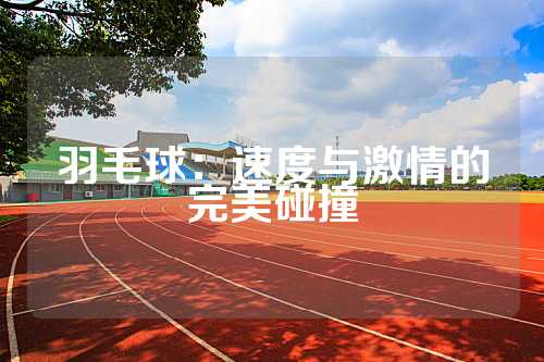 羽毛球：速度与激情的完美碰撞