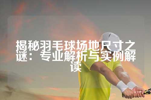 揭秘羽毛球场地尺寸之谜：专业解析与实例解读