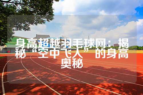 身高超越羽毛球网：揭秘“空中飞人”的身高奥秘