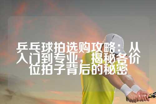 乒乓球拍选购攻略：从入门到专业，揭秘各价位拍子背后的秘密