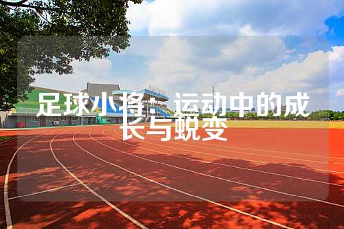 足球小将：运动中的成长与蜕变