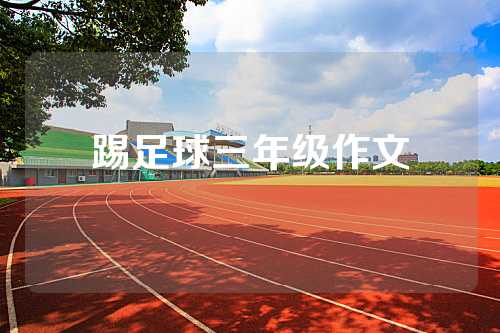 踢足球三年级作文