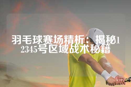 羽毛球赛场精析：揭秘12345号区域战术秘籍