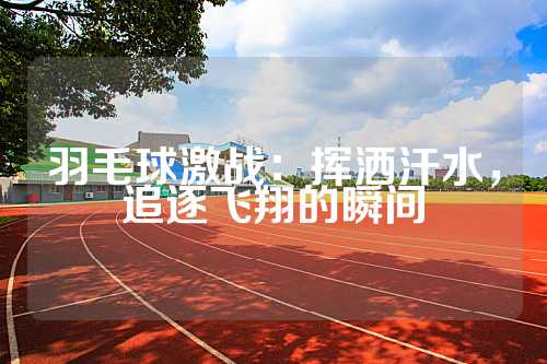 羽毛球激战：挥洒汗水，追逐飞翔的瞬间