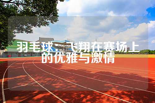 羽毛球：飞翔在赛场上的优雅与激情
