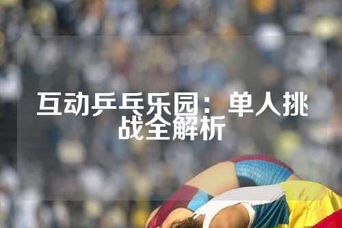 互动乒乓乐园：单人挑战全解析