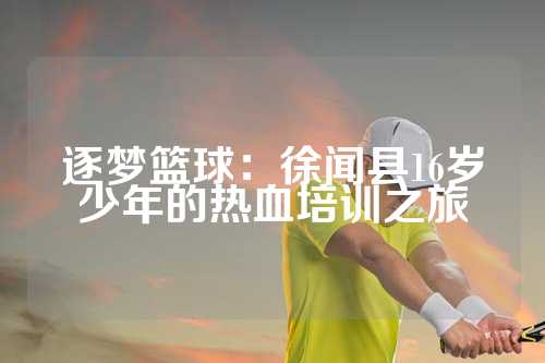 逐梦篮球：徐闻县16岁少年的热血培训之旅