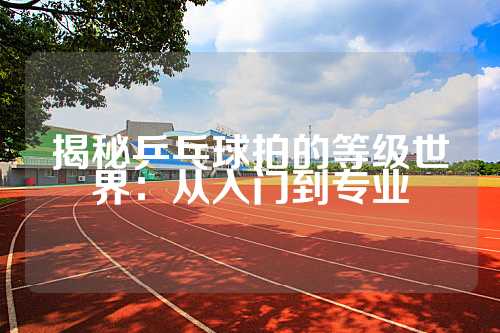 揭秘乒乓球拍的等级世界：从入门到专业