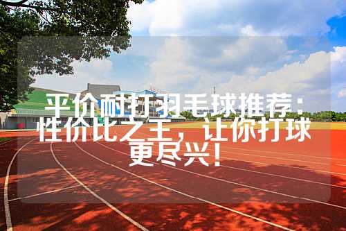 平价耐打羽毛球推荐：性价比之王，让你打球更尽兴！