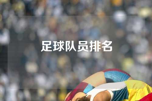 足球队员排名
