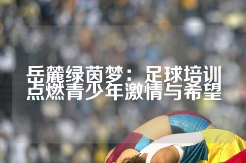 岳麓绿茵梦：足球培训点燃青少年激情与希望