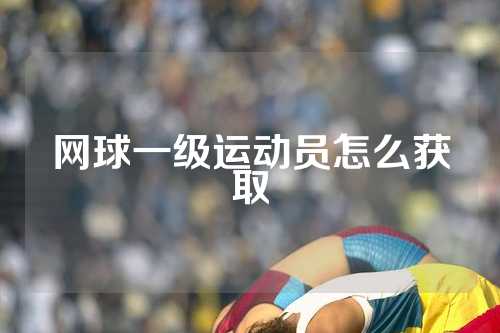 网球一级运动员怎么获取