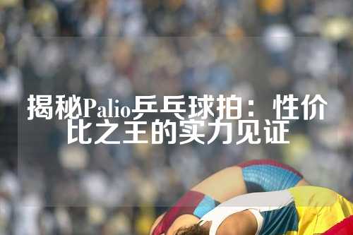 揭秘Palio乒乓球拍：性价比之王的实力见证