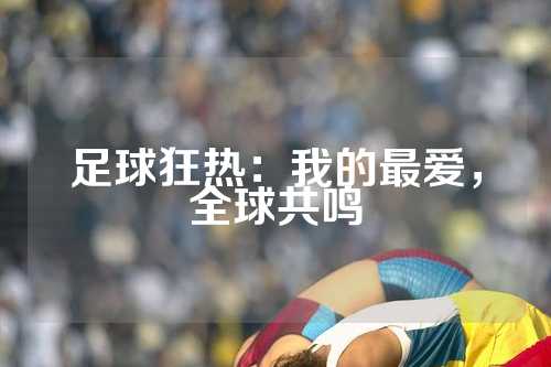 足球狂热：我的最爱，全球共鸣