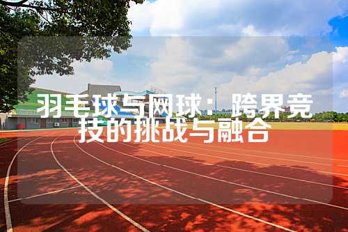 羽毛球与网球：跨界竞技的挑战与融合