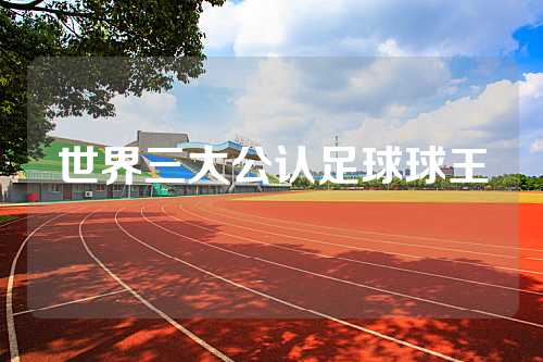 世界三大公认足球球王