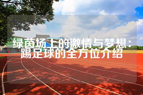 绿茵场上的激情与梦想：踢足球的全方位介绍