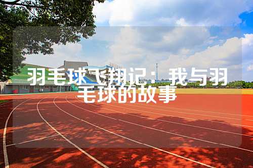 羽毛球飞翔记：我与羽毛球的故事