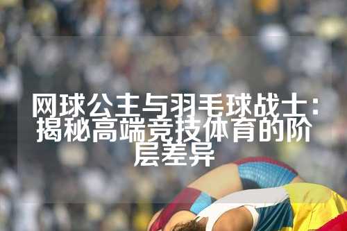 网球公主与羽毛球战士：揭秘高端竞技体育的阶层差异
