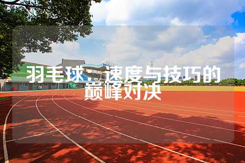 羽毛球：速度与技巧的巅峰对决
