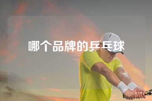 哪个品牌的乒乓球