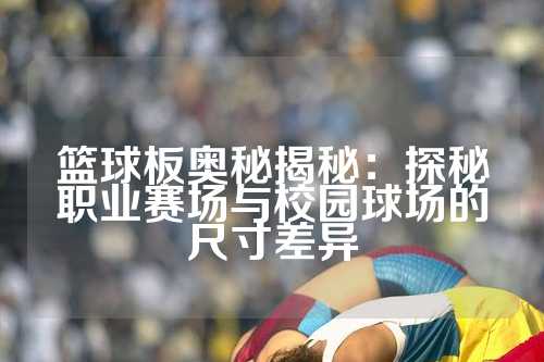 篮球板奥秘揭秘：探秘职业赛场与校园球场的尺寸差异