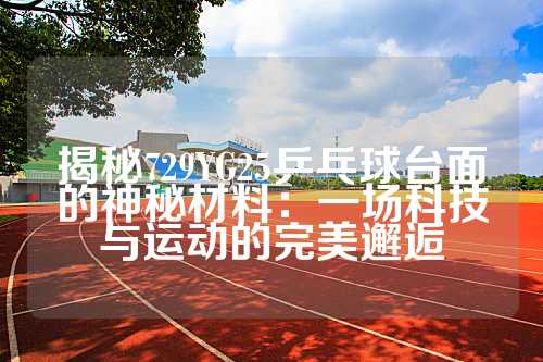 揭秘729YG25乒乓球台面的神秘材料：一场科技与运动的完美邂逅