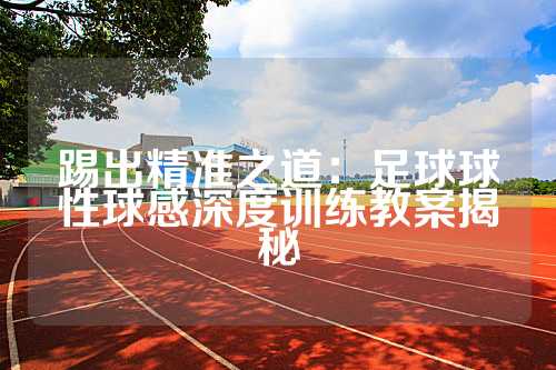 踢出精准之道：足球球性球感深度训练教案揭秘