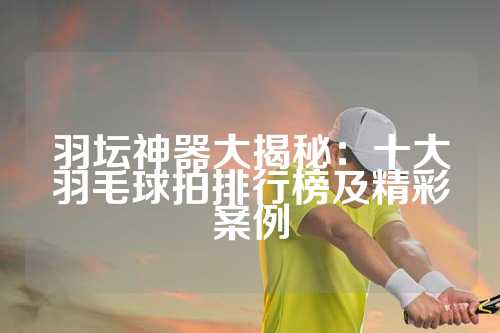 羽坛神器大揭秘：十大羽毛球拍排行榜及精彩案例