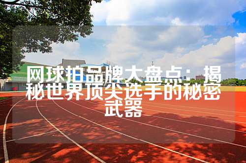 网球拍品牌大盘点：揭秘世界顶尖选手的秘密武器