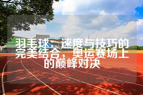 羽毛球：速度与技巧的完美结合，奥运赛场上的巅峰对决