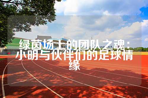 绿茵场上的团队之魂：小明与伙伴们的足球情缘