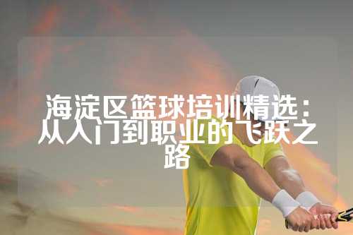 海淀区篮球培训精选：从入门到职业的飞跃之路
