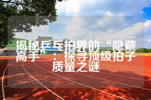 揭秘乒乓拍界的“隐藏高手”：探寻顶级拍子质量之谜