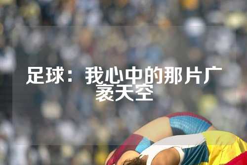 足球：我心中的那片广袤天空