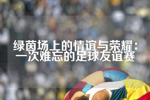 绿茵场上的情谊与荣耀：一次难忘的足球友谊赛